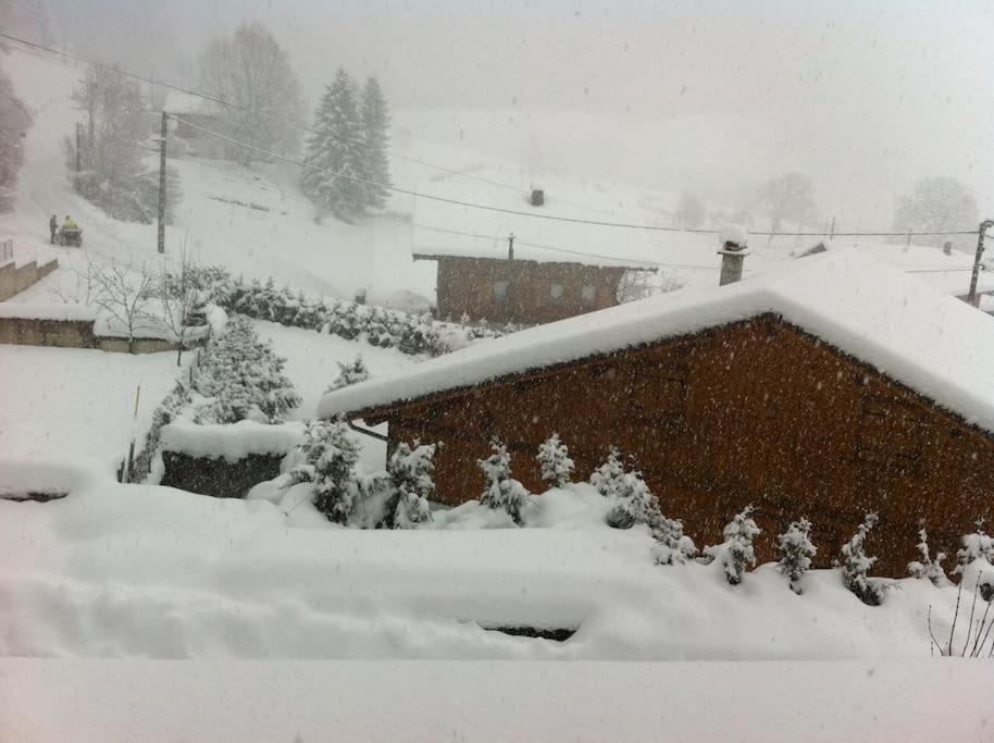 Taninges Dans Hameau, Pres Des Pistes Logement De Plein Pied Au Calme מראה חיצוני תמונה