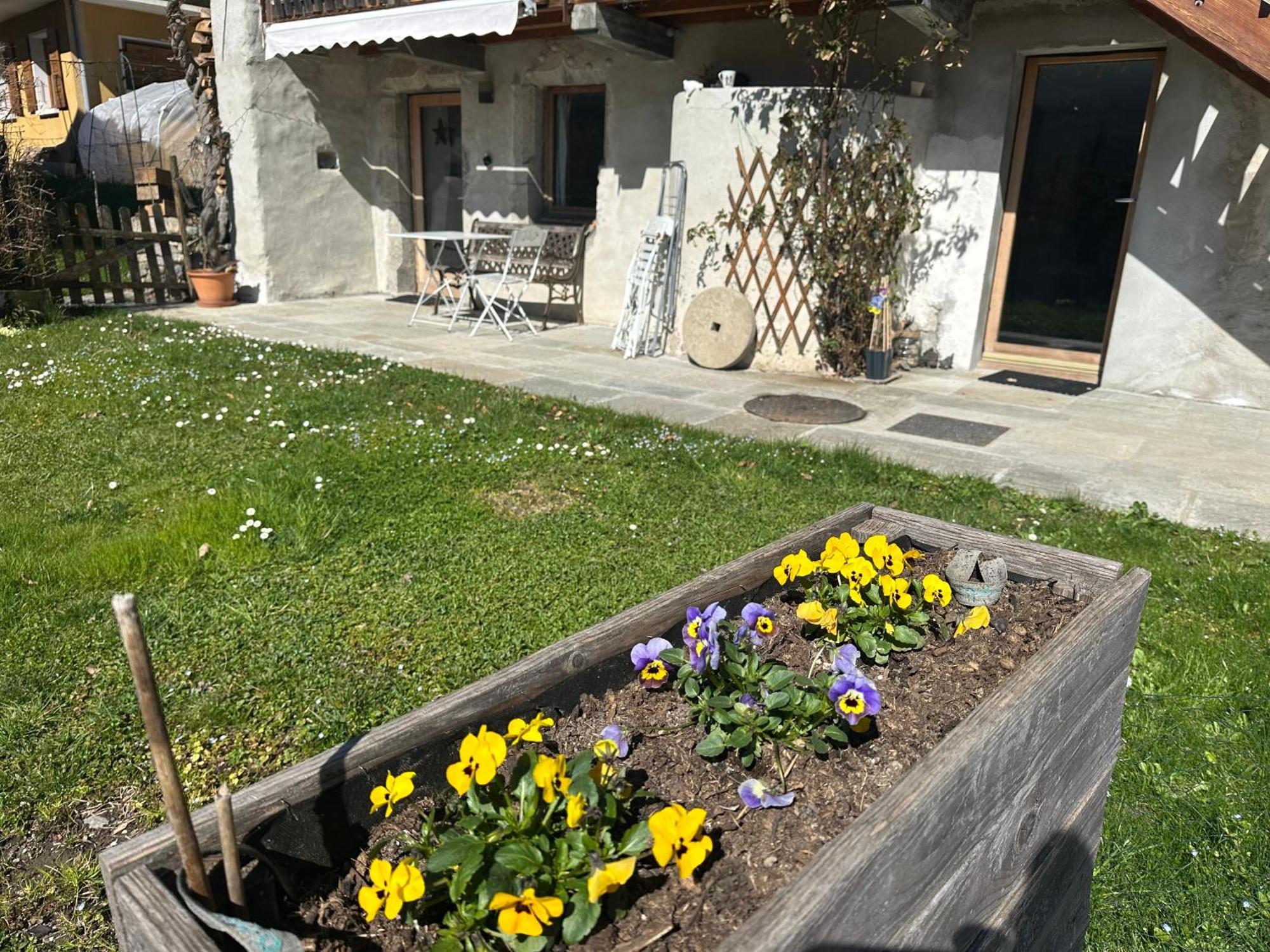 Taninges Dans Hameau, Pres Des Pistes Logement De Plein Pied Au Calme מראה חיצוני תמונה